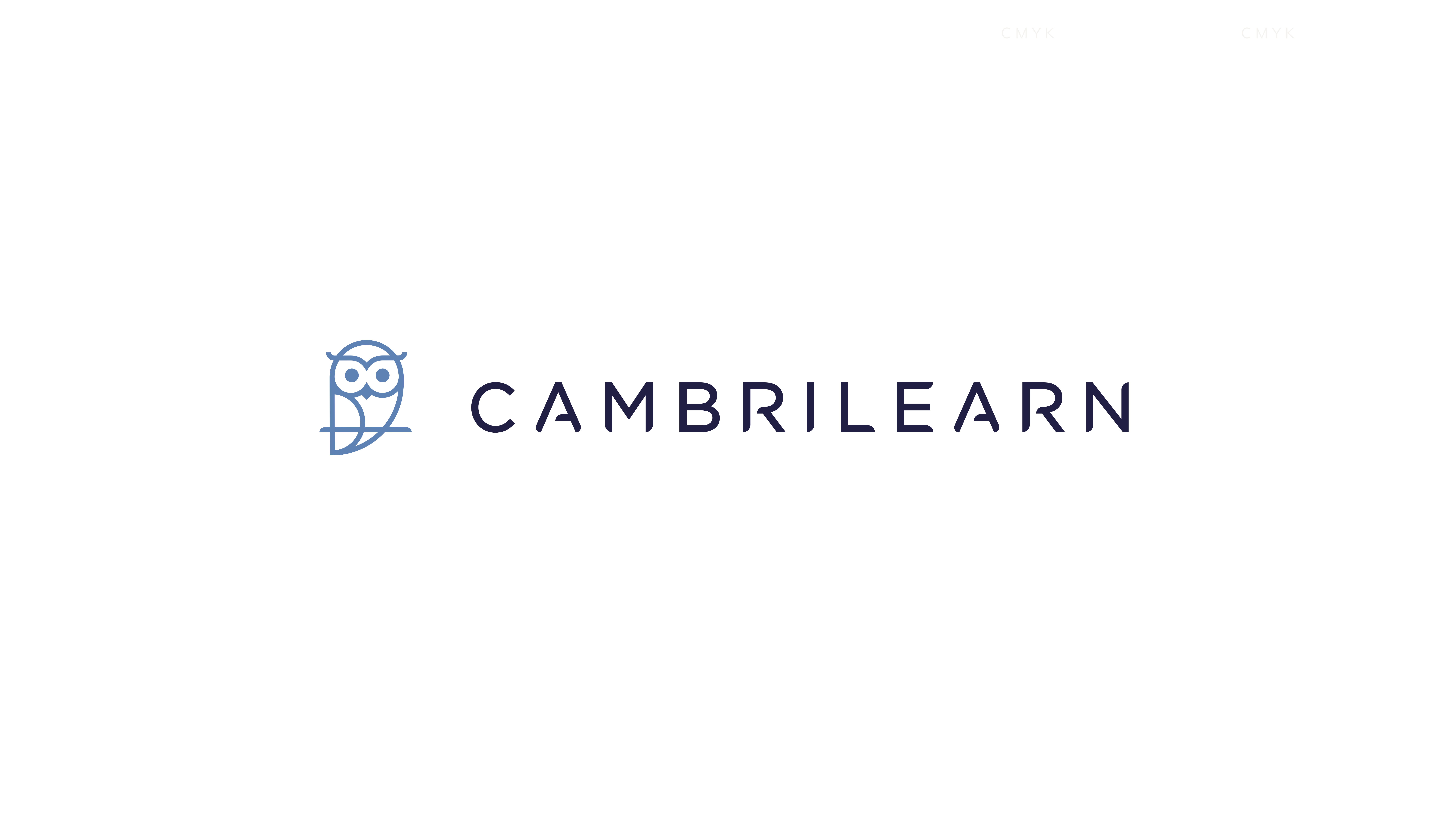 CambriLearn Online Education review