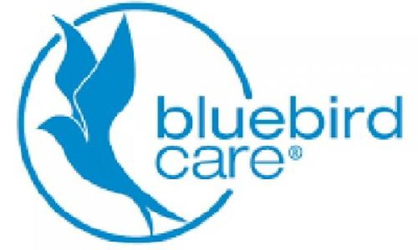Bluebird Care Poole